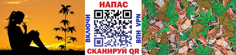 shop какой сайт  Грязовец  Конопля VHQ  купить наркотик 